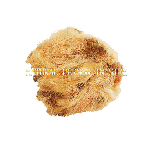 옥수수수염(玉髮)흰수염옥발
